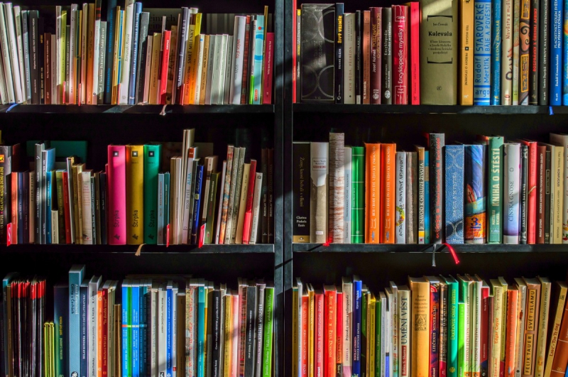 vente-CANNES-min_books_bookstore_book_reading_shop_writer_sale_books_read-822866