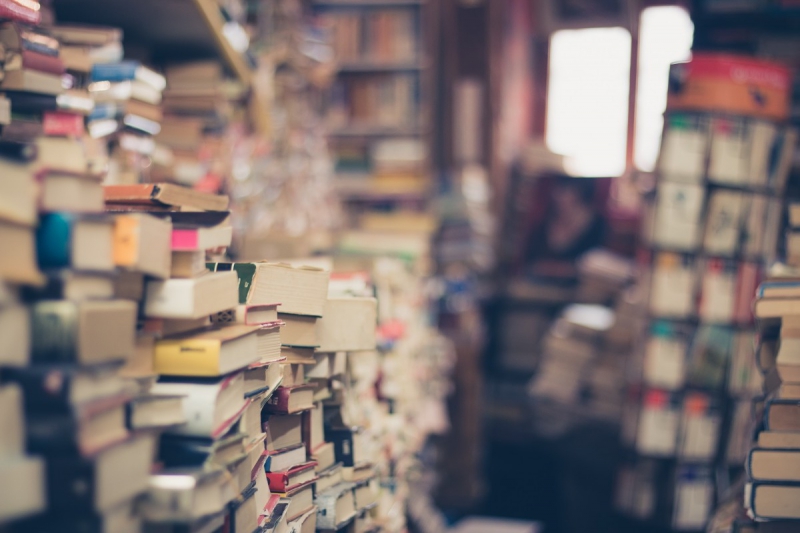 vente-CANNES-min_books_stack_book_store_stack_of_books_2nd_hand_retro_hipster_shop-829090